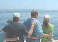 Cape Cod Coastline Tour