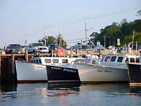 Massachusetts Coastline Sight Seeing Tours