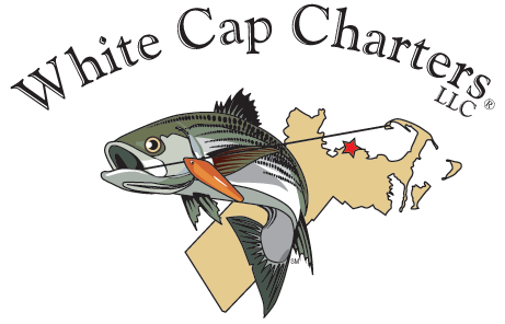 White Cap Charters, LLC